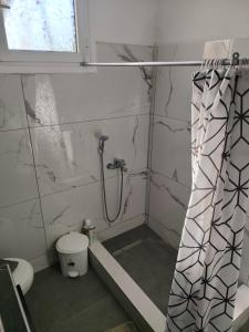 a bathroom with a shower and a toilet at Xaris House in Ávaton +30 photos