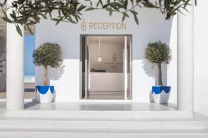 two potted trees sitting in front of a building at 18 Grapes Hotel in Agios Prokopios +271 photos