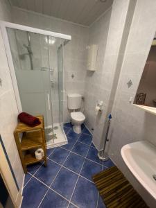 a bathroom with a shower and a toilet and a sink at Bluhm EG in Wangerland