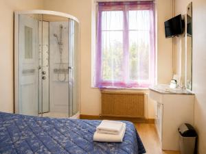 a bathroom with a bed and a shower and a sink at Hôtel du Nord in Contrexéville