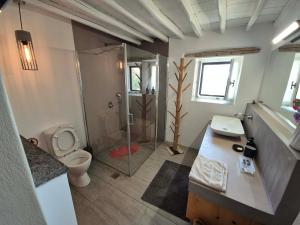 a bathroom with a shower and a toilet and a sink at House in Kamares - Sifnos in Kamares +58 photos