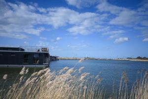 a boat on a body of water with tall grass at Hausboot Optimo mit Hund in Wangerland