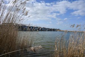 a large body of water with houses on a dock at Hausboot Optimo mit Hund in Wangerland +2 photos