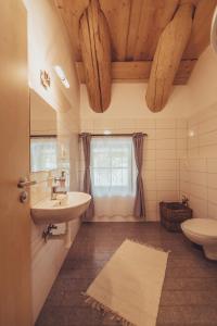 a bathroom with a sink and a toilet at Ranč Telč in Telč +37 photos