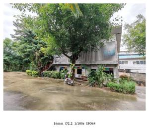 Ein Mann sitzt unter einem Baum vor einem Gebäude in der Unterkunft king s hotel in Mae Sot