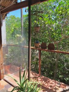 a room with a window with potted plants on it at Santa Lova Eco-hostel Isla Tintipan in Tintipan Island