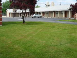 a small tree in the grass in front of a building at Red Carpet Inn Brooklawn in Brooklawn