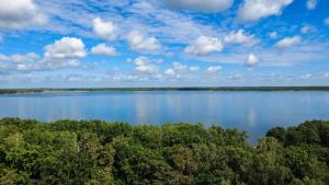 an aerial view of a lake with trees at Natura Ferienpark - Bungalows am Grimnitzsee Schorfheide in Althüttendorf