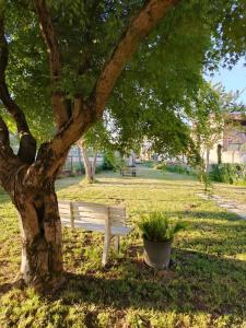 a white bench under a tree in a park at Kasa - B&B by Kristel in Maglione