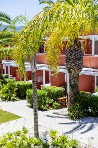 a palm tree in front of a building at Résidence Antinéa in Argelès-sur-Mer