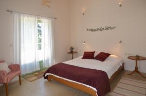 a bedroom with a large bed with red pillows at Villa Verde Petra in Arménoi