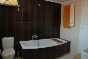a bathroom with a bath tub and a toilet at Villa Verde Petra in Arménoi +28 photos