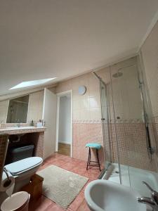 a bathroom with a shower and a toilet and a sink at Quinta do Avô Brum in Flamengos