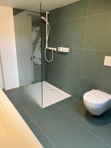 a bathroom with a toilet and a glass shower at Dachboden Loft in Laax