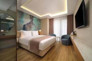 Un televizor și/sau centru de divertisment la Shirisha Hotel Istanbul