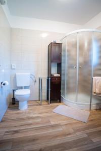 a bathroom with a toilet and a glass shower at Villa Elida with Heated Pool - Central Istria in Pazin +45 photos