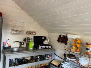 a kitchen with a sink and a counter top at Вовкаль in Yablunytsya