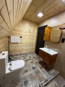 a bathroom with a tub and a toilet and a sink at Horizon Mestia - Premium Chalets With Panoramic Views in Mestia +53 photos