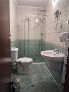 a bathroom with a toilet and a sink at Rhodope House Momchil Yunak in Momchilovtsi
