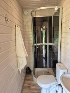 a bathroom with a shower and a toilet and a sink at Holiday Resort Zakątek Łeba in Łeba