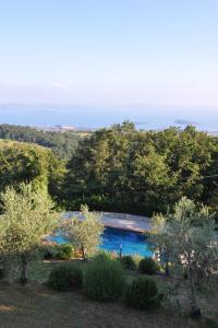 uma piscina no meio de um jardim com árvores em Villa Perugini em Tuoro sul Trasimeno