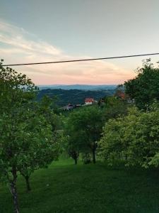 a group of trees in a field with at Casa Rotti - Countryside Retreat near Krško in Krško