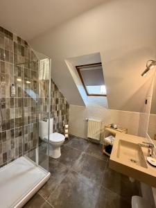ein Badezimmer mit Toilette, Dusche und Waschbecken in der Unterkunft Hotel Sanvilla in Sigulda