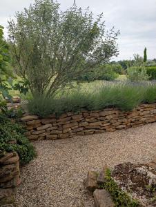 a stone retaining wall with a tree and grass at Maison Mazille in Mazille