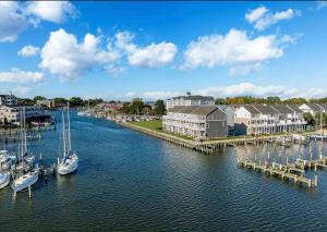 a group of boats docked at a marina at WYJEK Stays - Riverside Haven in Cambridge