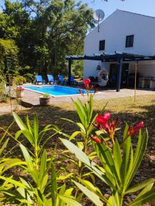 a view of a house with a swimming pool at Casa dos Cavalos in Sertã