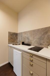 a kitchen with a stove and a sink at #Artistic Flat 2BR Historical Center Timișoara in Timişoara +62 photos