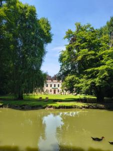 a pond in a park with trees and a building at Wisteria Lodge by Veneto Villa in Albignasego