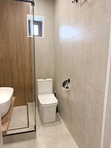 a bathroom with a toilet and a sink and a shower at Jetel Boutique Hotel in Almaty