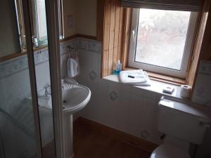a bathroom with a toilet and a sink and a window at Craignay Guest House in Inverness +11 photos