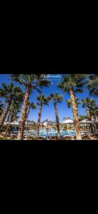 a group of palm trees on a beach with the ocean at Veranda resort in Hurghada +1 photo