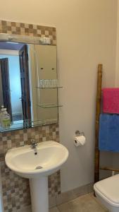 a bathroom with a sink and a mirror and a toilet at Slievebawn Accommodation in Sligo