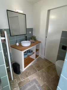 a bathroom with a sink and a mirror at La Félicité in Boissy-le-Sec