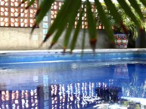 a close up of a swimming pool with a palm tree at Samanu Hotel & Suites in Sayulita