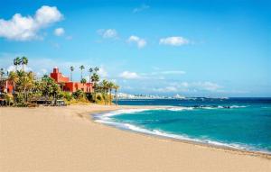 a sandy beach with palm trees and the ocean at Hercules in Arroyo de la Miel