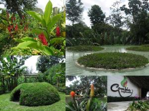 Hotel Hacienda Combia外面的花园