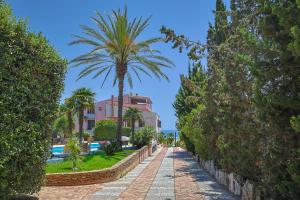 a palm tree in the middle of a sidewalk at Passione Mare in Porto Palo