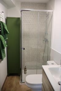 a bathroom with a shower with a toilet and a sink at Xeitosa II, en el centro de Vigo in Vigo +24 photos