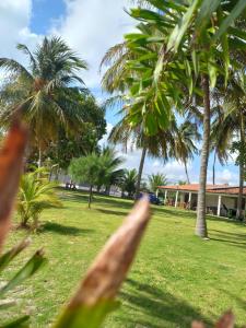 a view of a park with palm trees and a building at Villa Verde Chalés e Restô in Patos