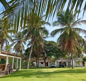 two palm trees in a yard next to a house at Villa Verde Chalés e Restô in Patos