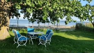 ein Tisch und Stühle im Gras unter einem Baum in der Unterkunft Aviator's Seafront Escape in Ágios Nikólaos