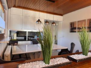two potted plants on a table in a kitchen at Auszeit in Niedereschach
