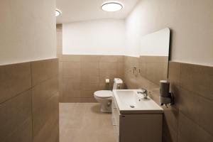 a bathroom with a toilet and a sink and a mirror at Vila MIHAI in Văliug +38 photos