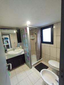 ein Badezimmer mit Waschbecken, Toilette und Dusche in der Unterkunft Casaesquerda Cinza in Vieira do Minho + 30 Fotos