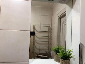 a bathroom with a mirror and a towel rack at Light house in Ternopil