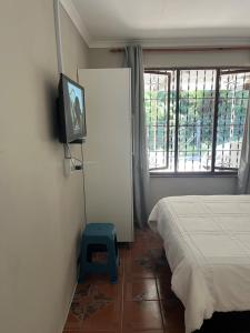 a bedroom with a bed and a tv on a wall at 85 Hidden Gem in Newlands